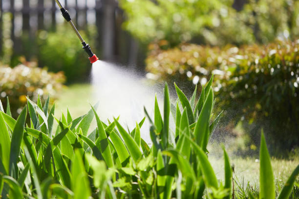 24/7 Emergency Fumigation Services experts in Ephrata, WA