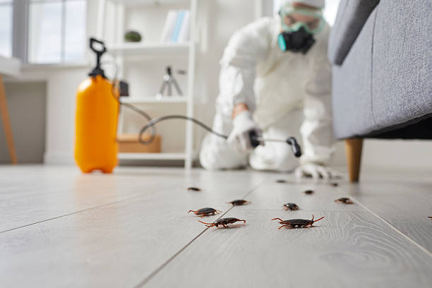 Trusted Emergency Pest Control service in Ephrata, WA - Nex Pest Control